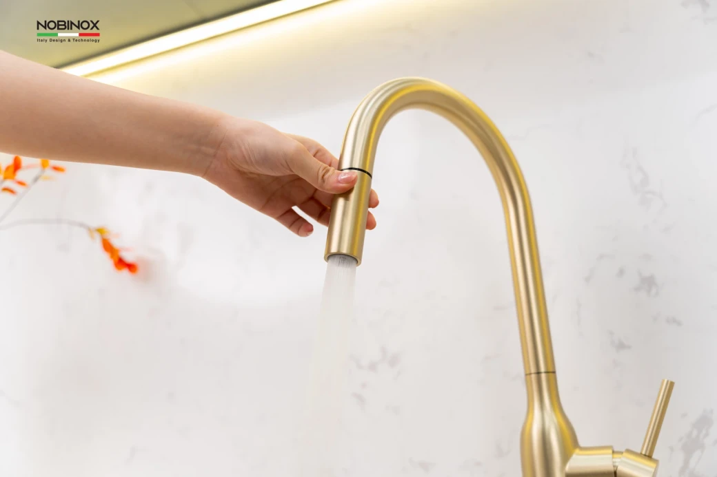 Vòi rửa bát dây rút NOBINOX AQUA NX663V