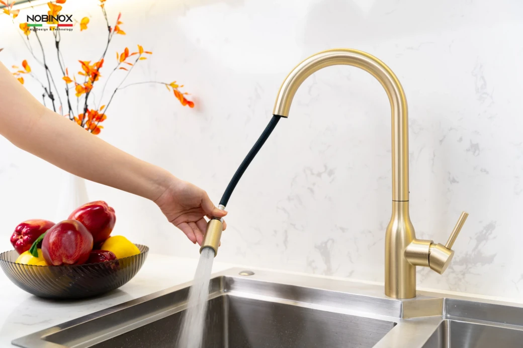 Vòi rửa bát dây rút NOBINOX AQUA NX663V