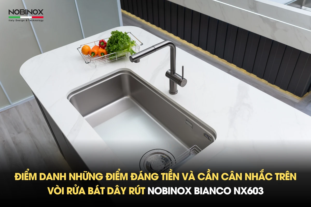 Điểm danh những điểm đáng tiền và cần cân nhắc trên vòi rửa bát dây rút Nobinox BIANCO NX603
